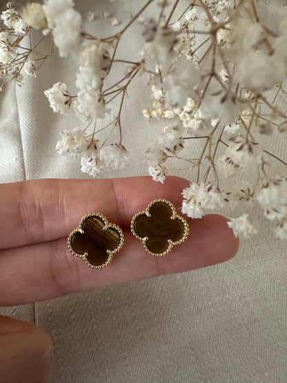 Cocoa Bloom - ørering