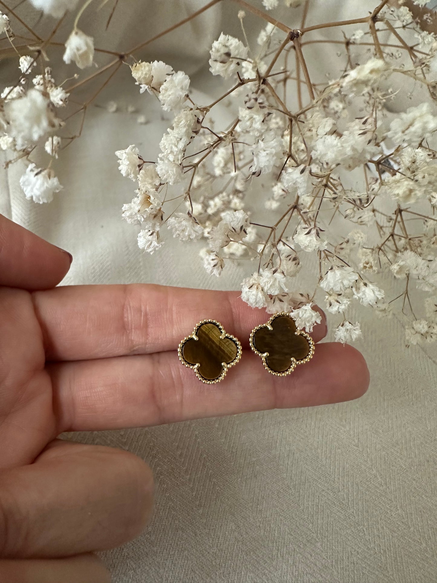 Cocoa Bloom - ørering