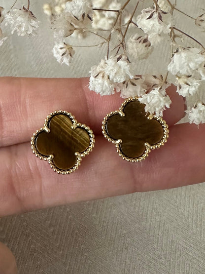 Cocoa Bloom - ørering